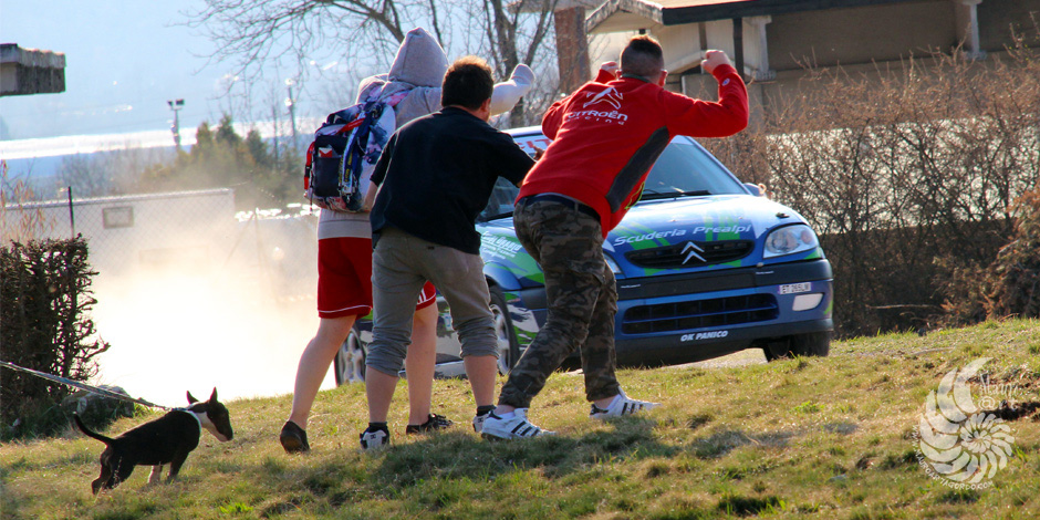 rally bellunese