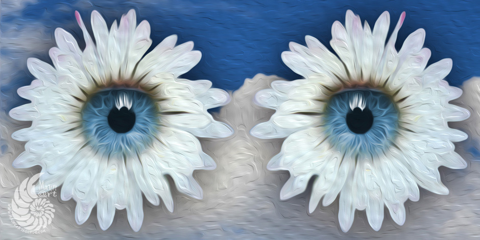 margherite